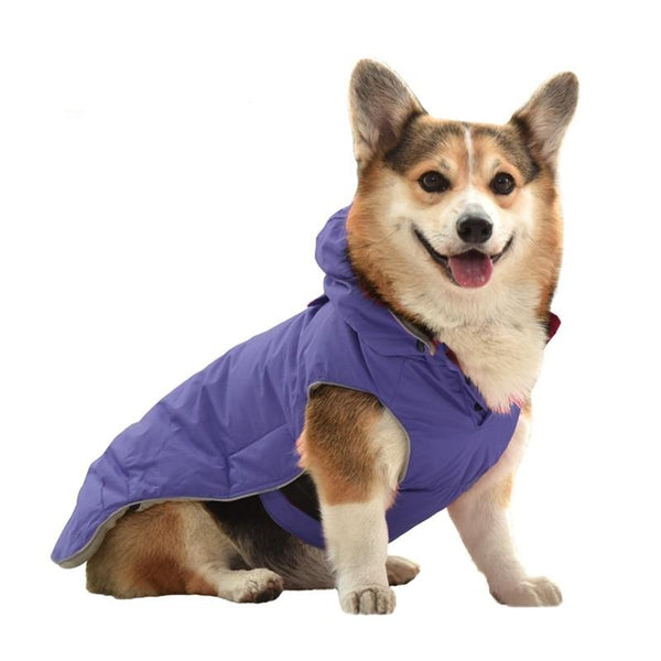 Fleece Padded Adjustable Dog Harness Coat | Purple