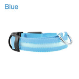 LED Glowing Night Safety Collar | Blue