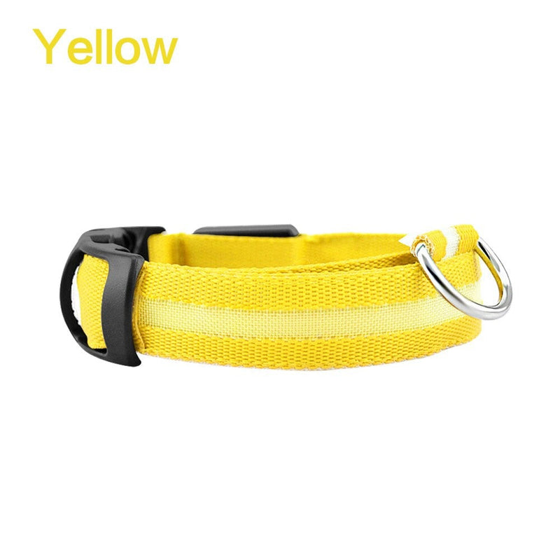 LED Glowing Night Safety Collar | Yellow