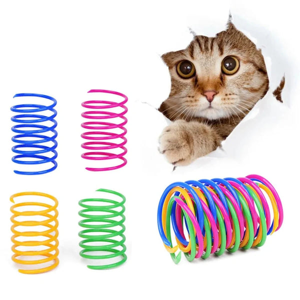 Coil Spiral Pet Toy Spring