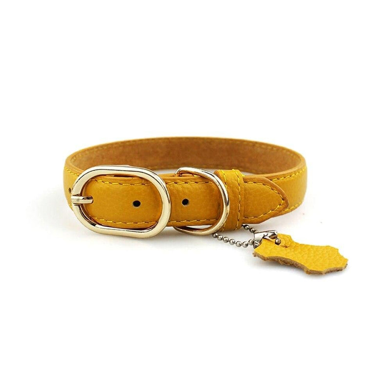 Leather Dog Neck Collar with Hangtag | Yellow