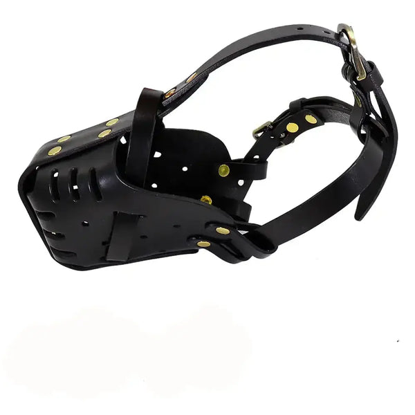 Anti-Bite Training Muzzle for Medium Sized Dogs | Black