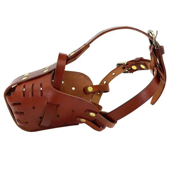 Anti-Bite Training Muzzle for Medium Sized Dogs | Brown