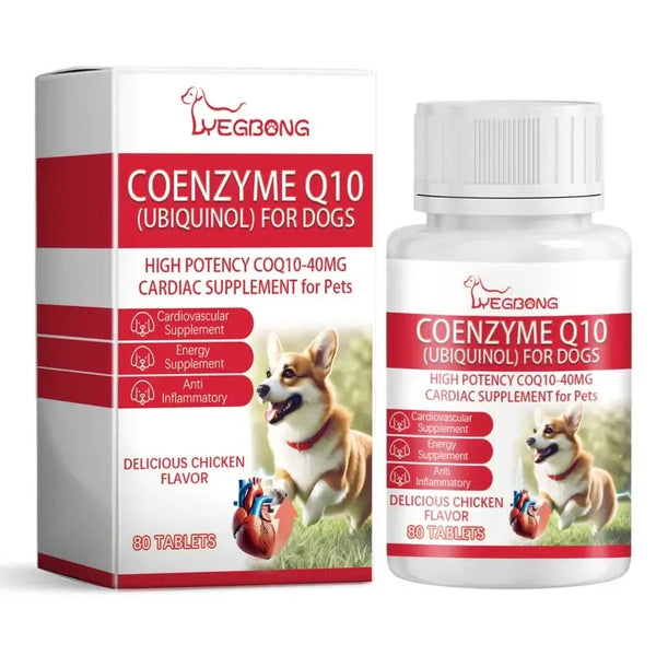 Coenzyme Nutritional Support for Aging Dogs