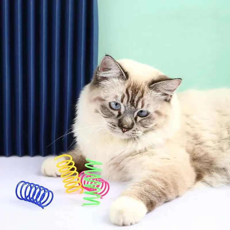 Coil Spiral Pet Toy