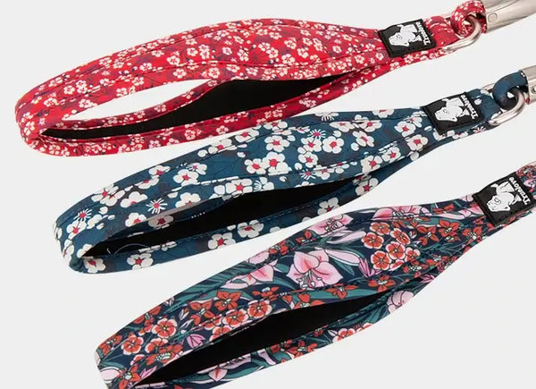 Colorful Cotton Rope Dog Leash