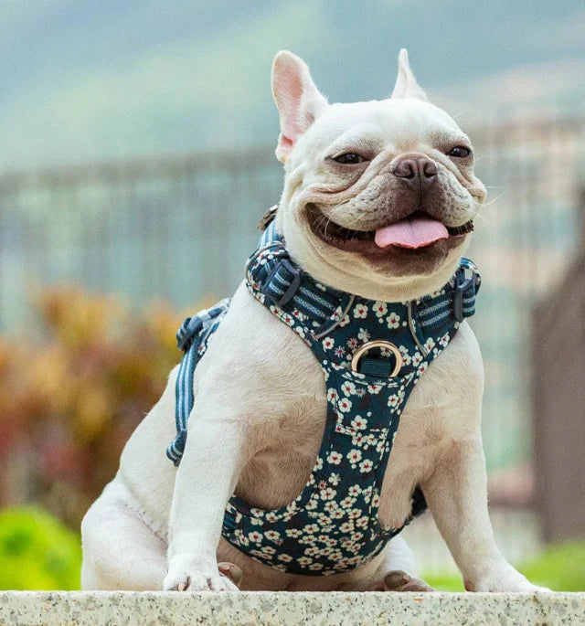Comfortable and Safe No-Pull Dog Harness with a Floral Design