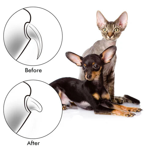 Electric Painless Pet Nail Clipper