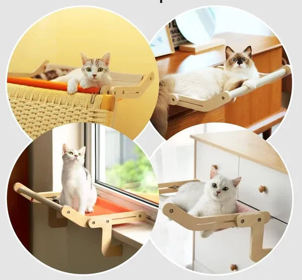 Eye-catching Three-in-One Cat Window Perch, Bed, and Hammock