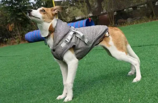 Fleece Padded Adjustable Dog Harness Coat