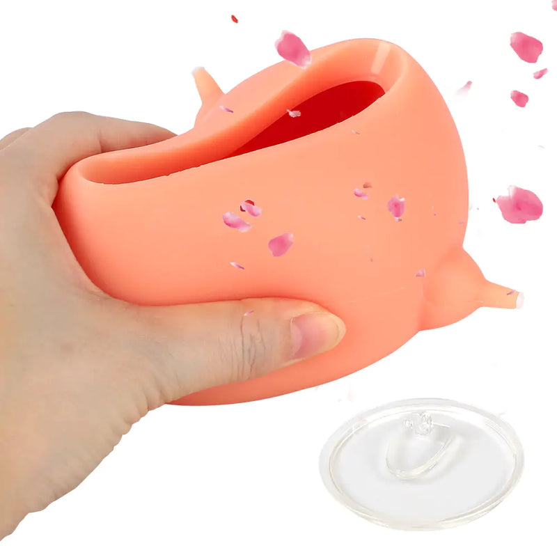 Silicone Pet Nursing Bowl