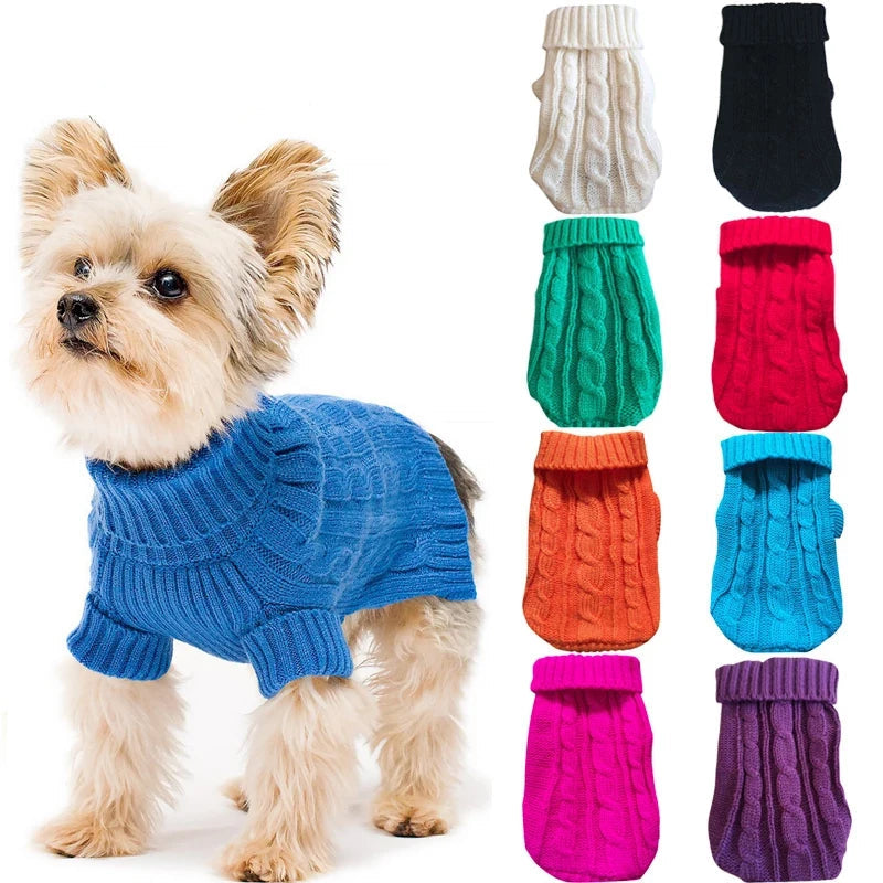 Winsome Cats And Dogs