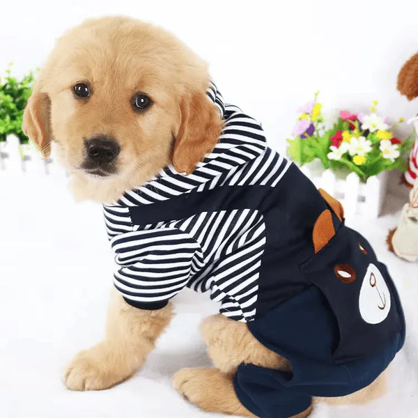 Winsome Cats And Dogs
