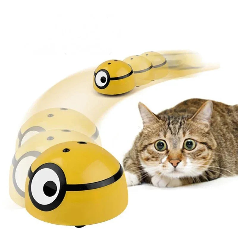 Winsome Cats And Dogs