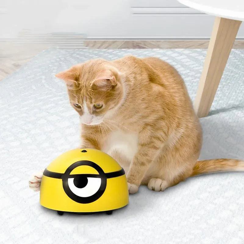 Winsome Cats And Dogs