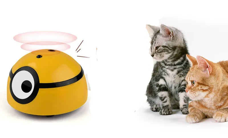 Winsome Cats And Dogs