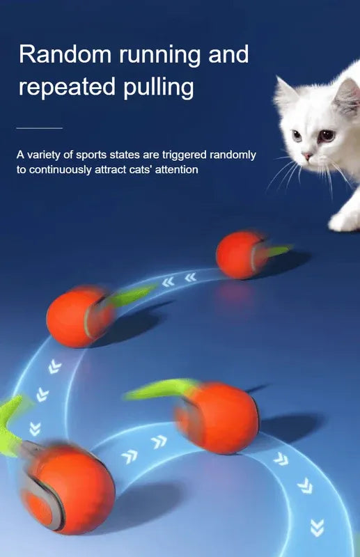 Winsome Cats And Dogs