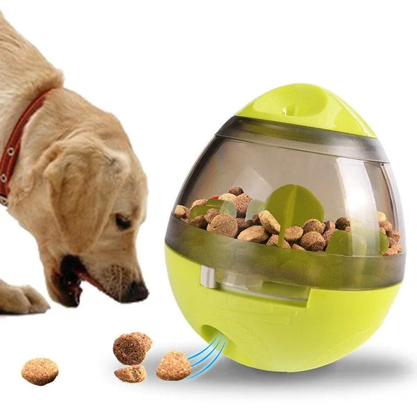 Winsome Cats And Dogs