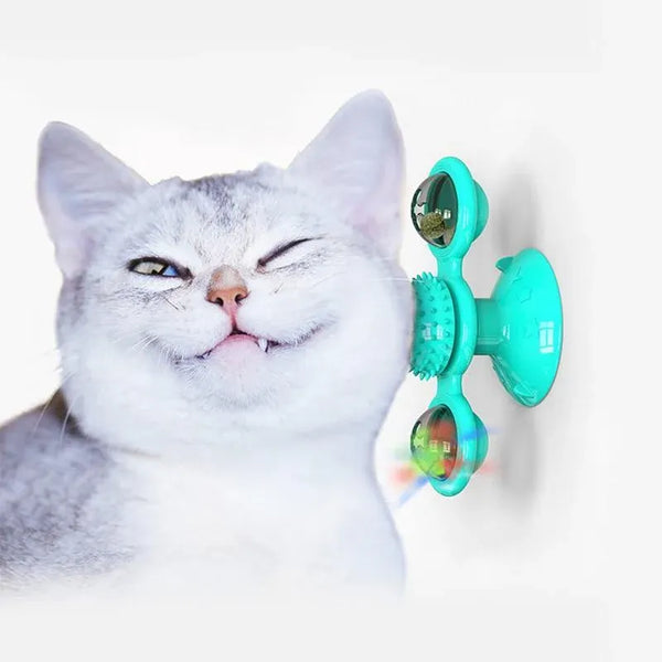 Winsome Cats And Dogs