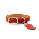 Leather Dog Neck Collar with Hangtag | Red