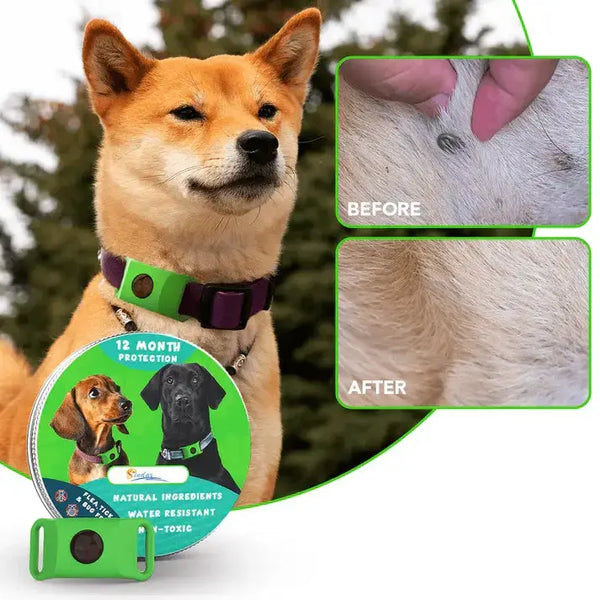 Natural Flea and Tick Free Pendant thumbnail