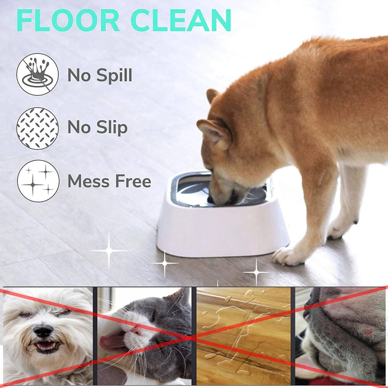 Winsome Cats And Dogs