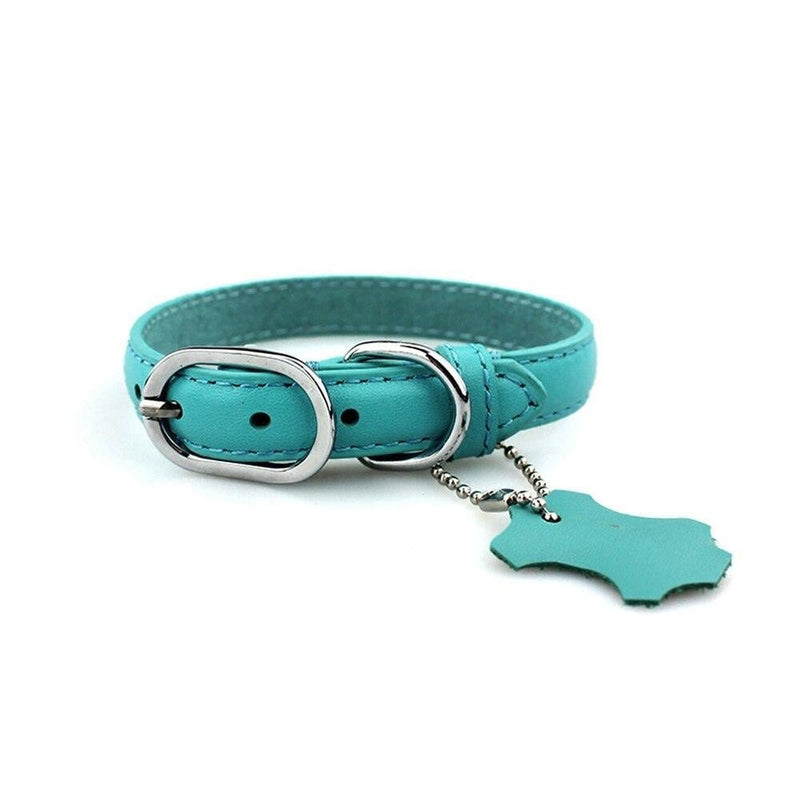 Leather Dog Neck Collar with Hangtag | Turquoise