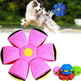 Magic Flying Saucer Ball for Pets | Pink