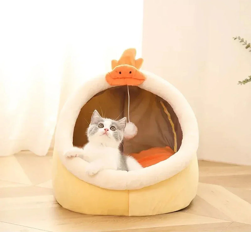 Warm and Comfortable Cat House