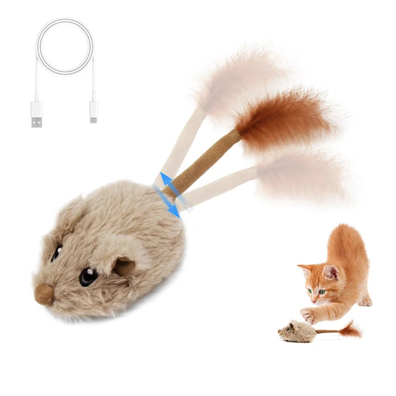 Winsome Cats And Dogs