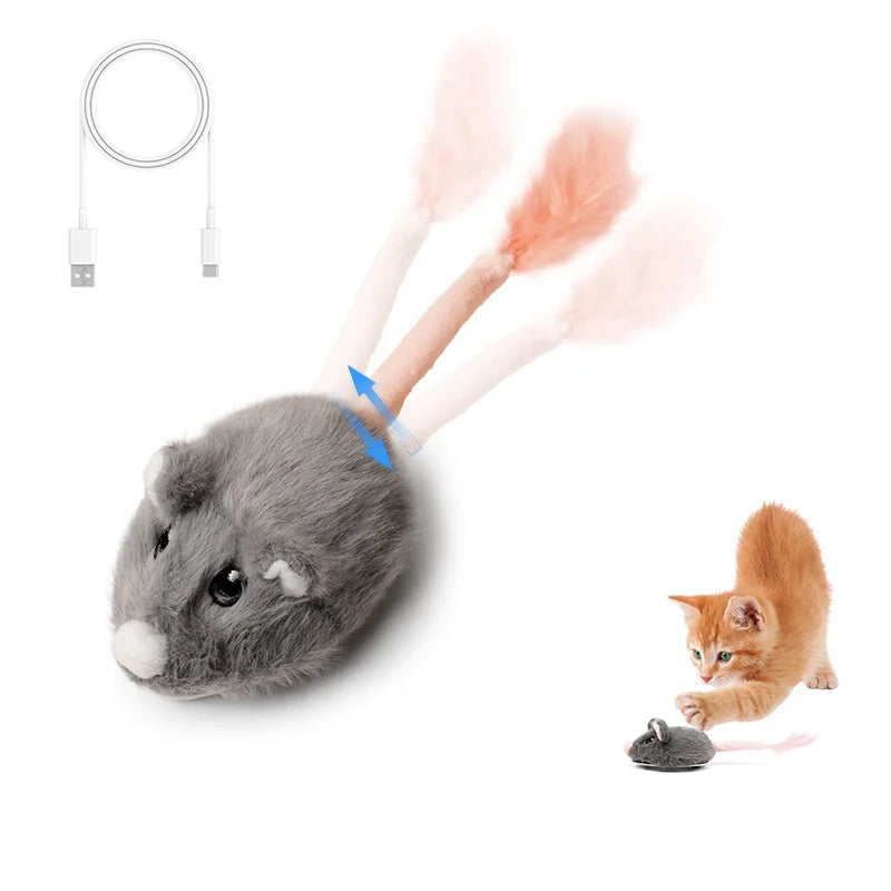 Winsome Cats And Dogs