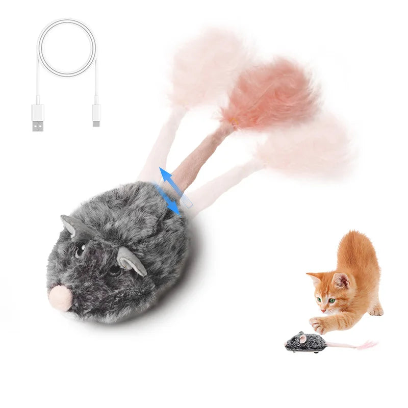 Winsome Cats And Dogs