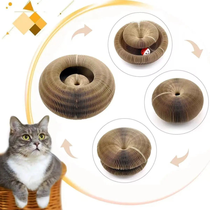 Winsome Cats And Dogs