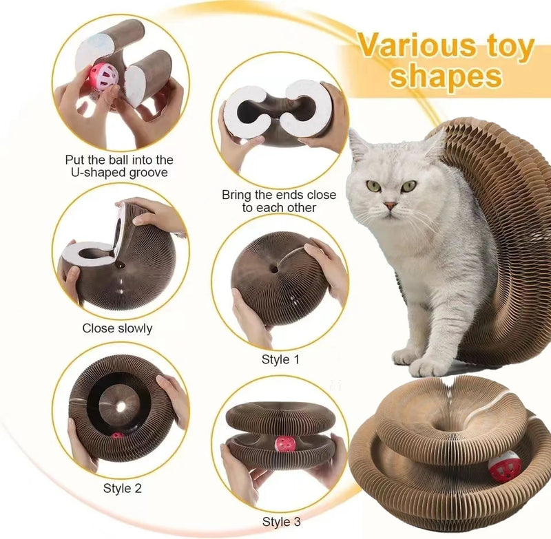 Winsome Cats And Dogs