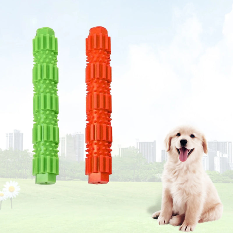 Winsome Cats And Dogs