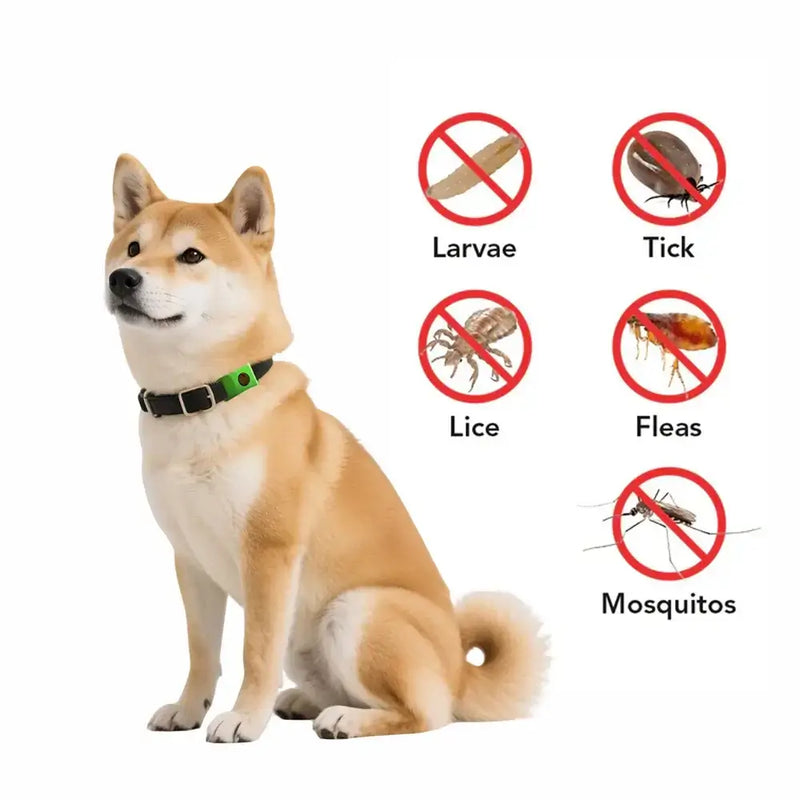Natural Flea and Tick Free Pendant
