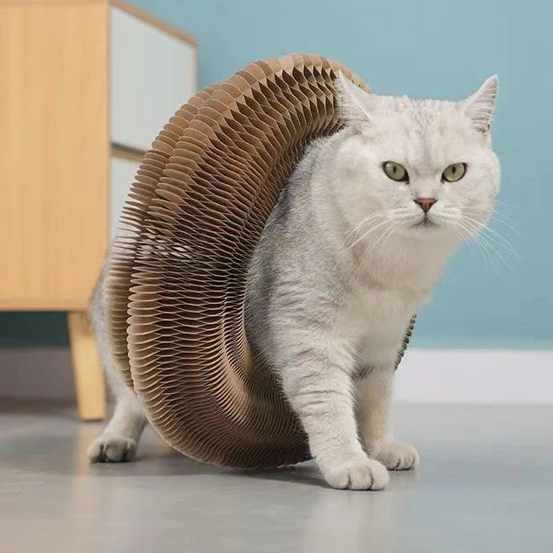 Winsome Cats And Dogs