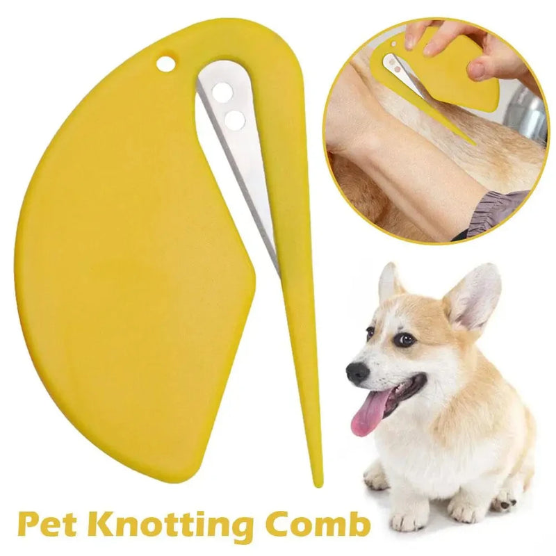 Winsome Cats And Dogs