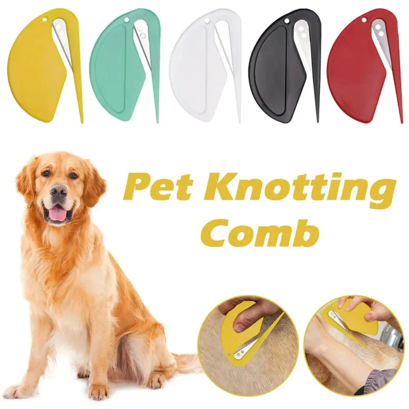 Winsome Cats And Dogs