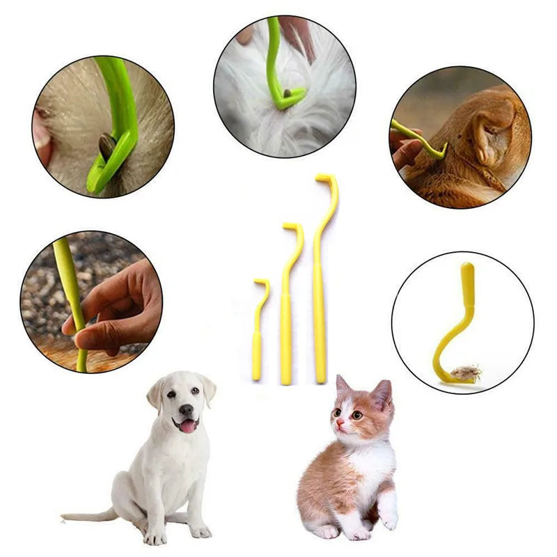 Winsome Cats And Dogs