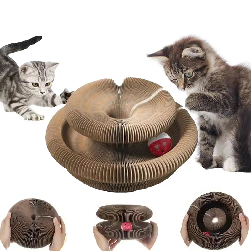Winsome Cats And Dogs
