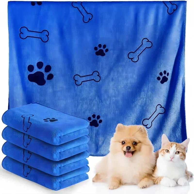 Winsome Cats And Dogs