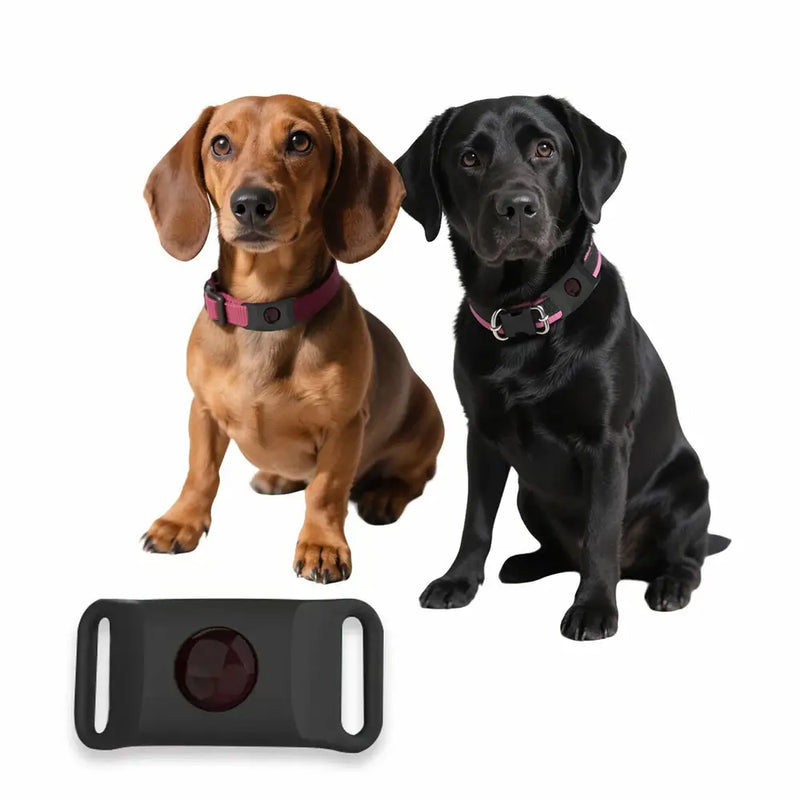 Natural Flea and Tick Free Pendant