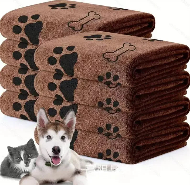 Winsome Cats And Dogs