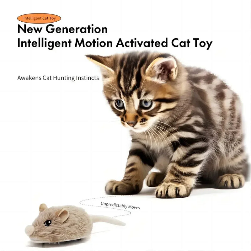 Winsome Cats And Dogs