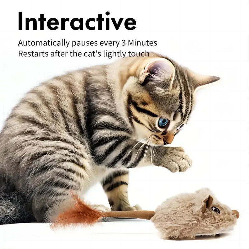 Winsome Cats And Dogs