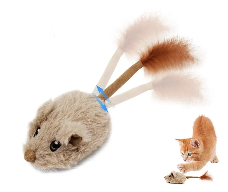 Winsome Cats And Dogs