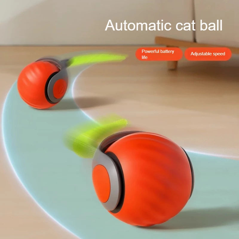 Winsome Cats And Dogs