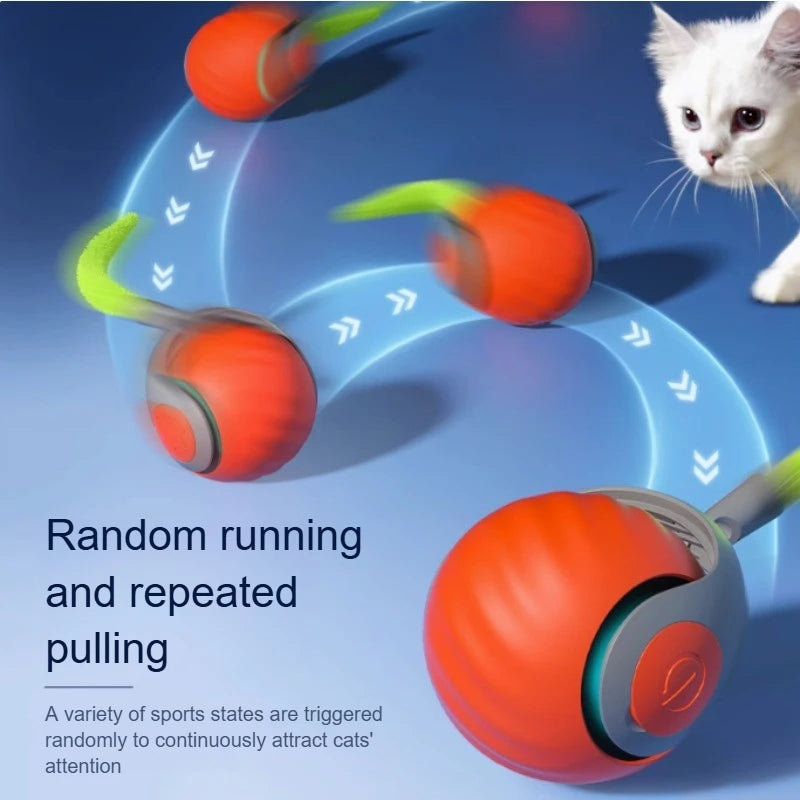 Winsome Cats And Dogs
