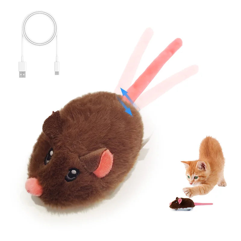 Winsome Cats And Dogs